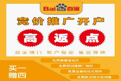 SEM主管实战案例：广告投放策略优化
